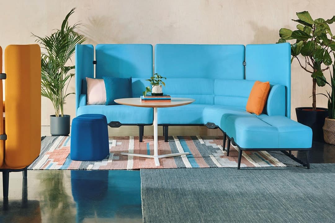 Bright light blue sofa in office lounge workspace with plants either side
